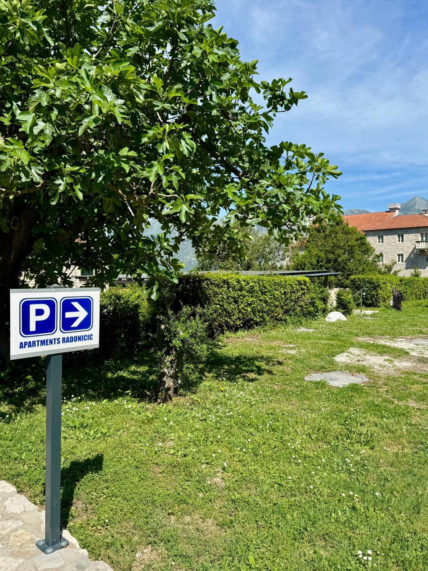 Apartments Radonicic Cattaro Esterno foto