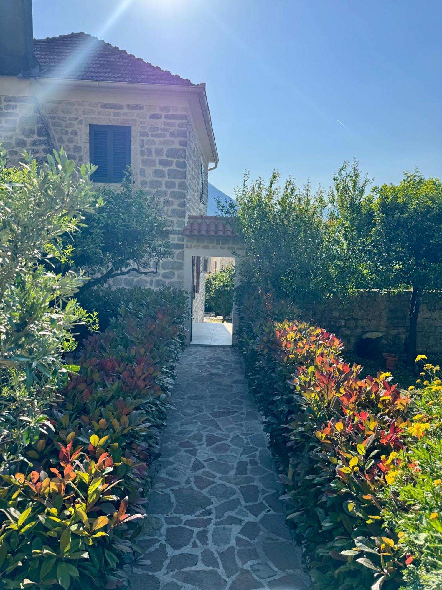 Apartments Radonicic Cattaro Esterno foto