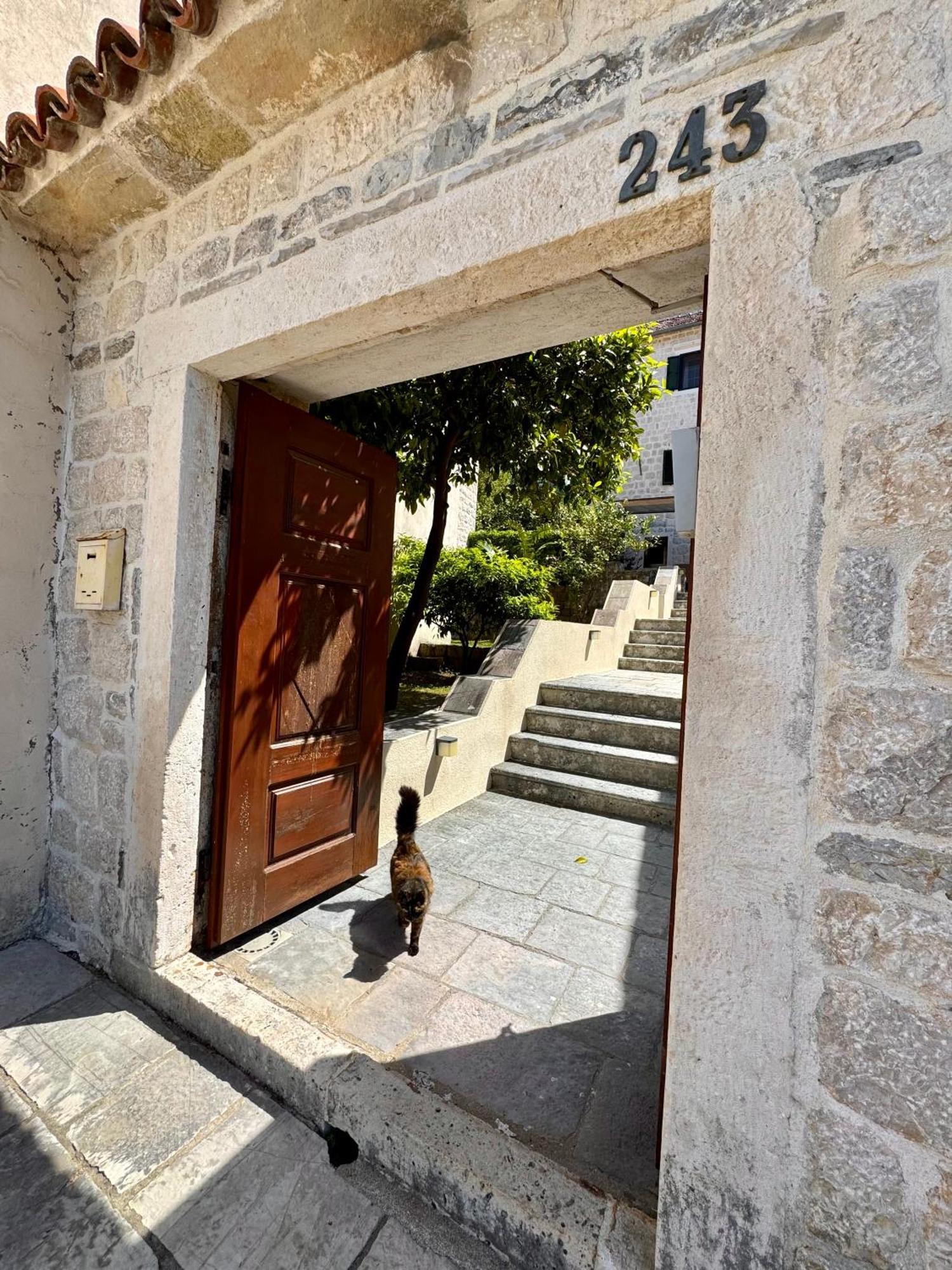 Apartments Radonicic Cattaro Esterno foto